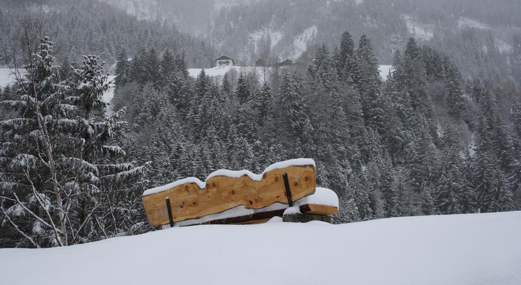 Apartments HAUS SCHÖN - Preise inclusive Pitztal Sommer Card Jerzens Exterior foto